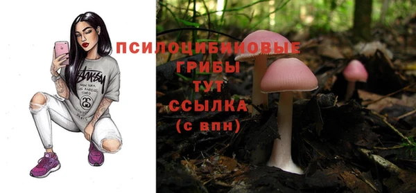 ECSTASY Алексеевка