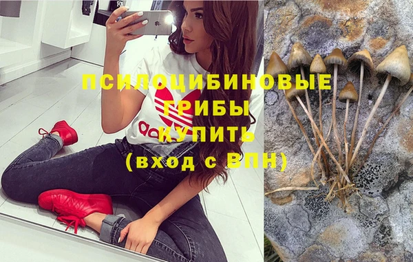 ECSTASY Алексеевка