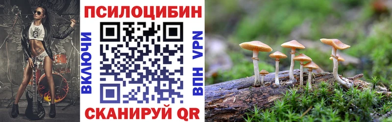 Псилоцибиновые грибы Magic Shrooms  Лахденпохья 